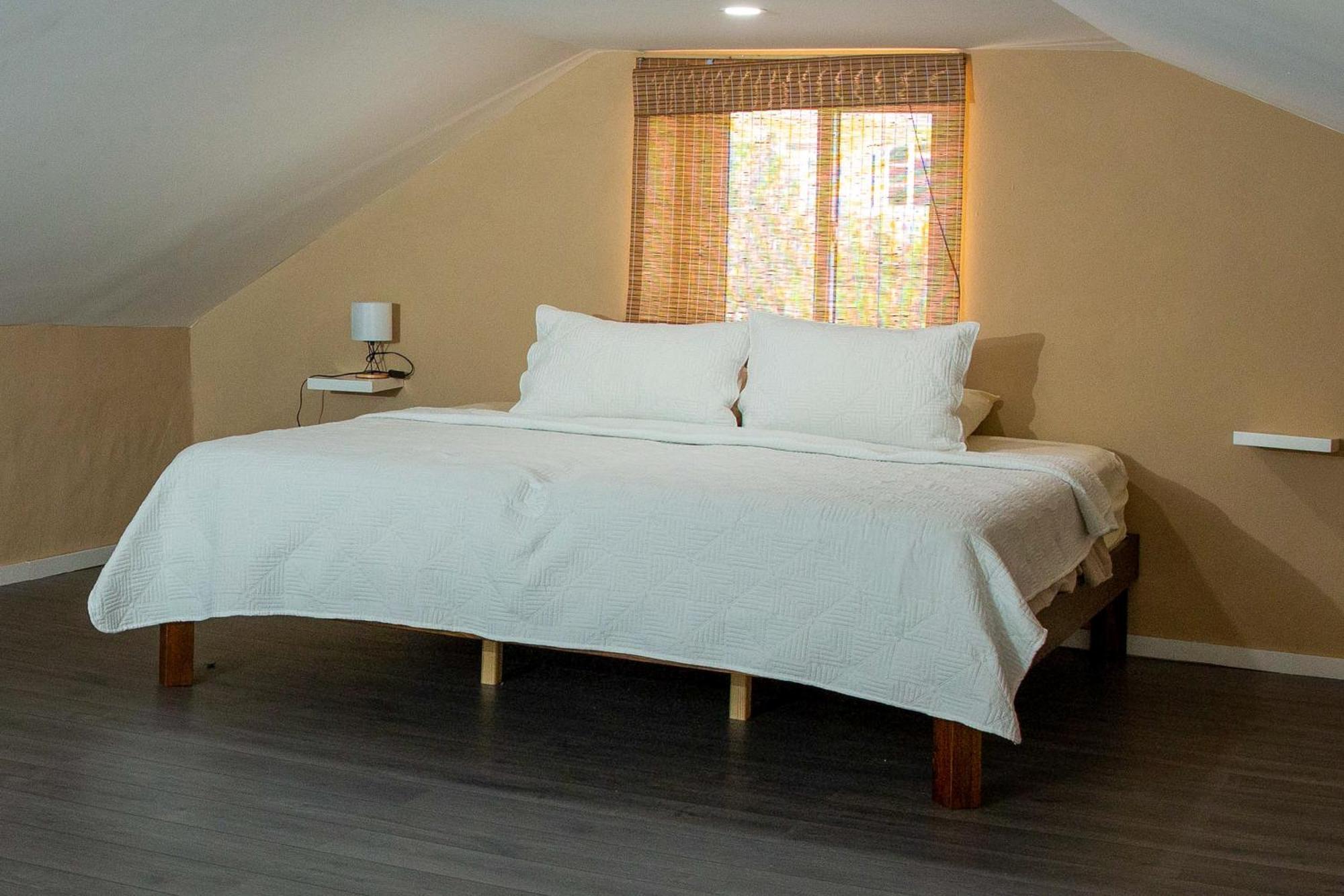 Paradiso Apartments Ораниестад Екстериор снимка